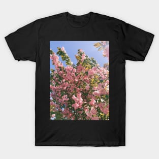 Cherry T-Shirt